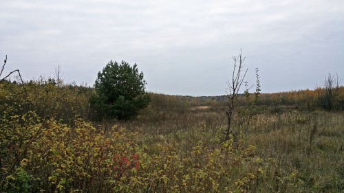 Les_22.10.2016-1.jpg