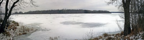 Ryb_15.11.2016-2.jpg