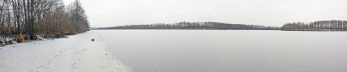 Ryb_15.11.2016-3.jpg