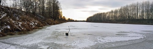 Ryb_20.11.2016-4.jpg