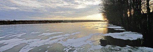 Ryb_20.11.2016-5.jpg