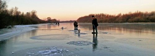 Ryb_24.11.2016-2.jpg