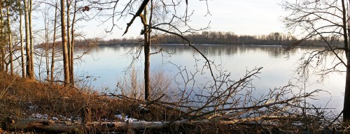 Ryb_24.11.2016-5.jpg