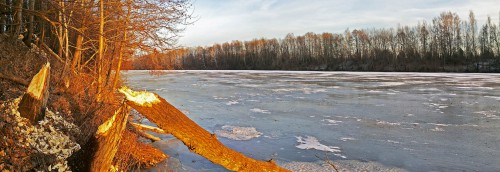 Ryb_24.11.2016-6.jpg