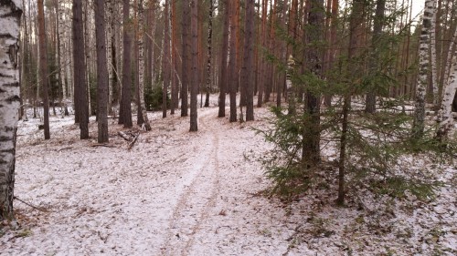 IMG_20161126_135103.jpg