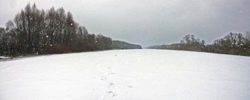 Ryb_27.11.2016-1.jpg