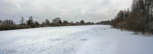 Ryb_01.12.2016-1.jpg