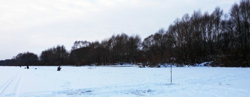 Ryb_03.12.2016-2.jpg