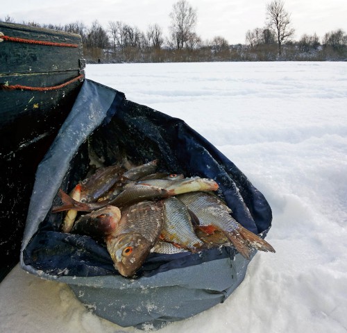 Ryb_03.12.2016-4.jpg