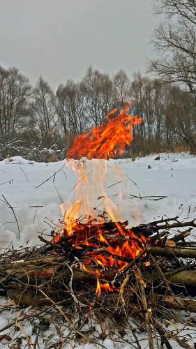 Ryb_08.12.2016-1.jpg