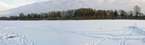 Ryb_09.12.2016-1.jpg