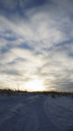 Ryb_12.12.2016-1.jpg