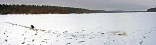 Ryb_24.12.2016-1.jpg