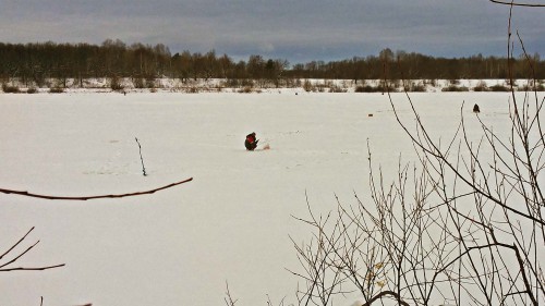 Ryb_28.12.2016-2.jpg