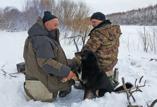 Ryb_29.12.2016-5.jpg